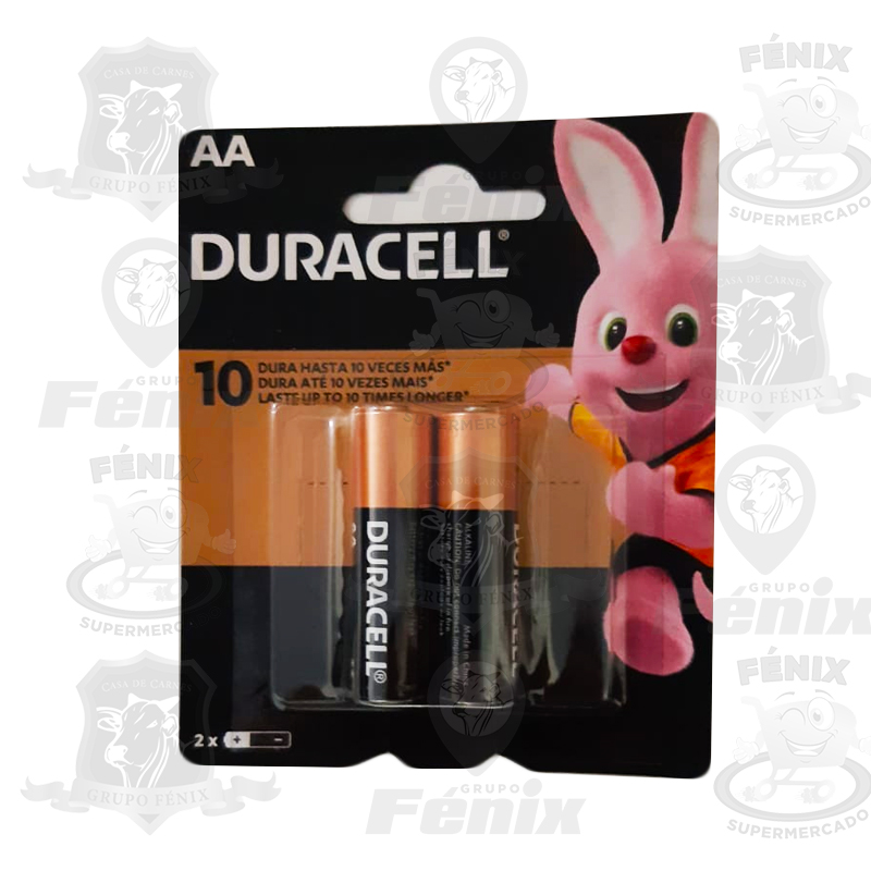Pilha Alcalina Duracell AA com 2 unid